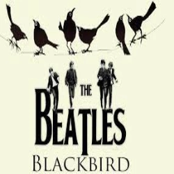 آهنگ Blackbird از The Beatles