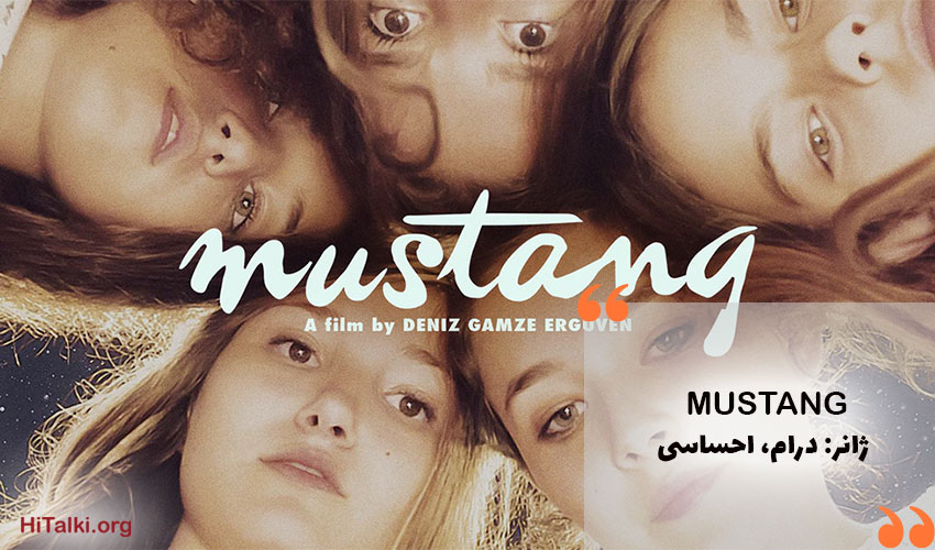 بهترین فیلم درامِ احساسی برای یادگیری زبان ترکی _ Mustang (اسب وحشی)