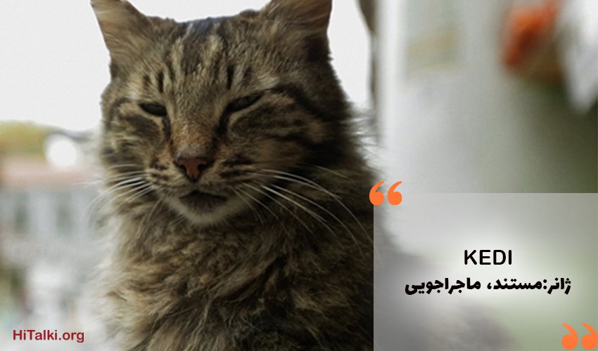 معرفی بهترین فیلم مستند برای یادگیری زبان ترکی _ KEDI (گربه)