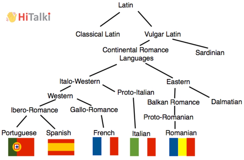 انواع زبان لاتین