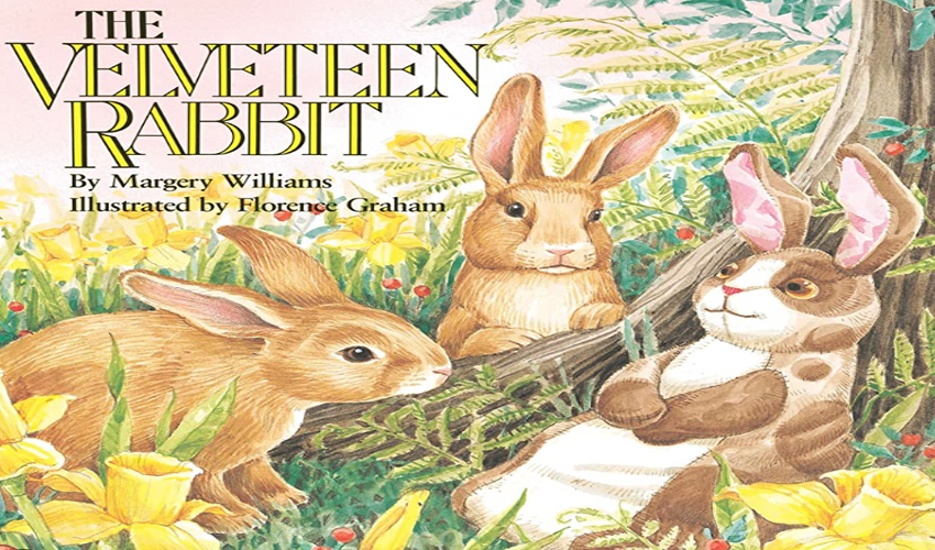 داستان انگلیسی خرگوش مخملی (مارجری ویلیامز)