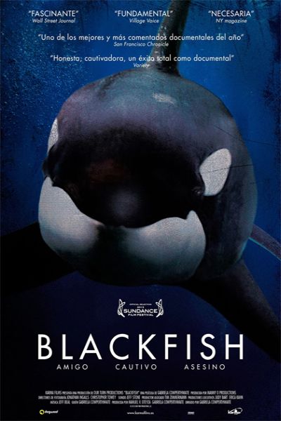 مستند Blackfish