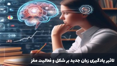 تاثیر یادگیری زبان جدید بر مغز