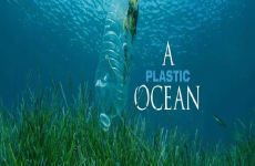 مستند A Plastic Ocean منبعی عالی برای تقویت مهارت اسپیکینگ آیلتس