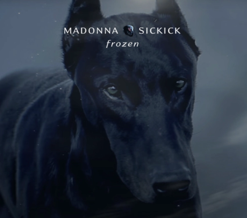 آهنگ Madonna vs Sickick – Frozen برای یادگیری زبان انگلیسی
