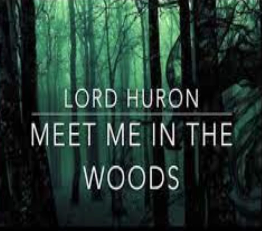 آهنگ Meet Me in the Woods - Lord Huron برای یادگیری زبان انگلیسی
