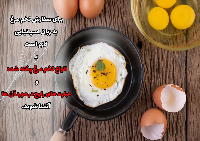 آشنایی با انواع تخم مرغ پخته شده و عبارت های رایج در مورد آن ها