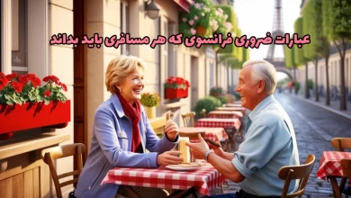 عبارات ضروری برای سفر به فرانسه