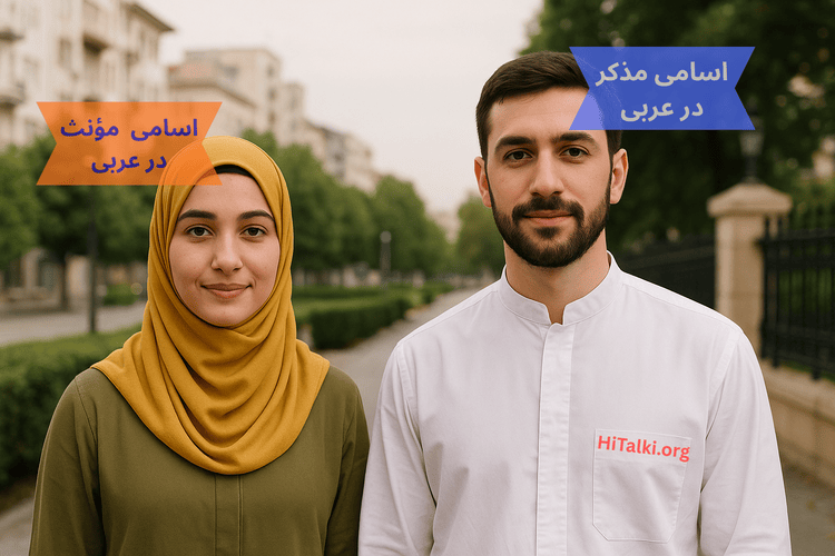 آموزش قواعد اسامی مذکر و مؤنث در زبان عربی به زبان ساده به همراه مثال